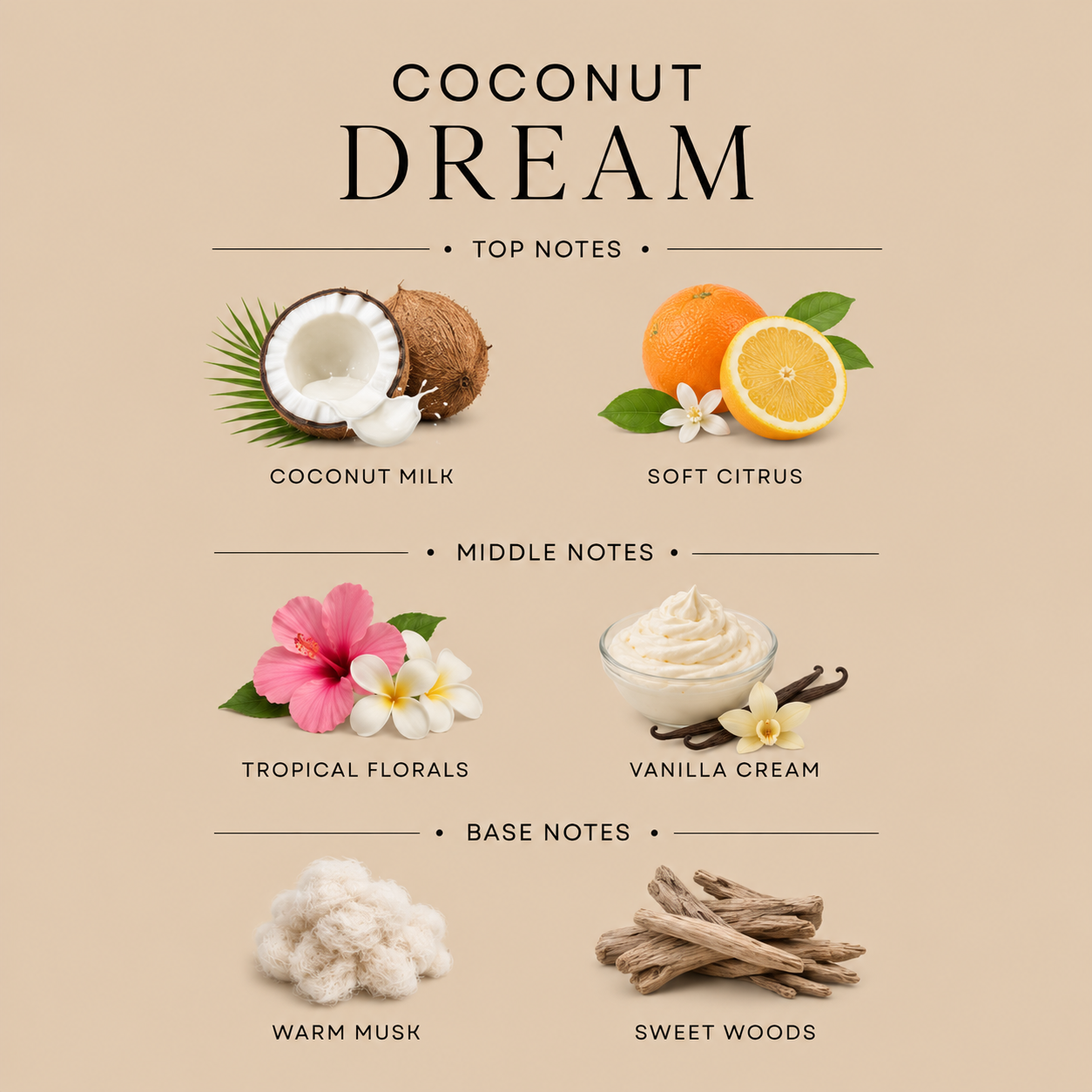 Vela Signature Coconut Dream